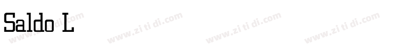 Saldo Light字体转换
